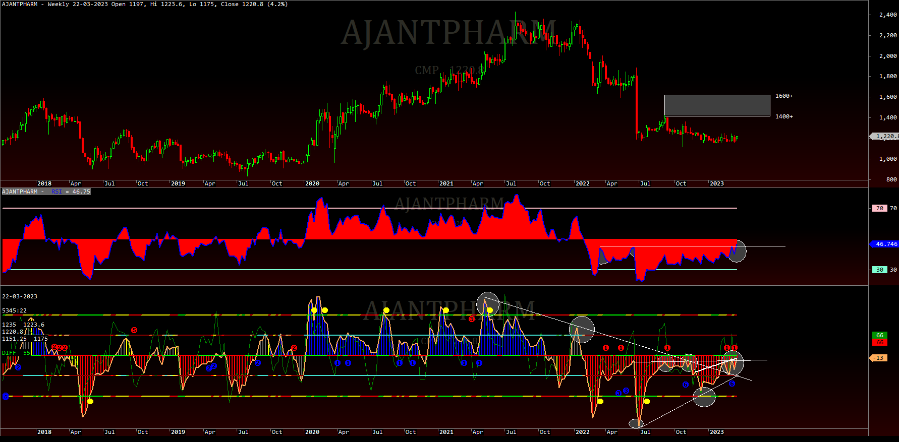 Ajantapharma: Long-Term View