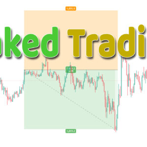 Read more about the article I Trade Without a Stop Loss — Here’s Why That’s Ruining Me